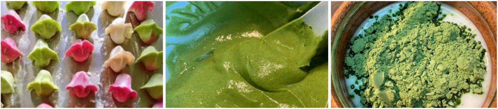 kale powder appplication