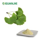 Ginkgo Biloba Nplooj Extract hmoov