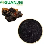 Inonotus Obliquus Extract hmoov